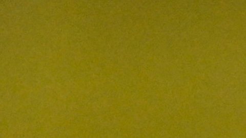 Paul Pogba, del Mónaco, en eñ partido inaugural de la fase de grupos de la Liga de Campeones entre el Mónaco y el Tottenham Hotspur el miércoles 22 de octubre de 2025.