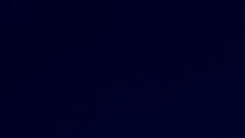 Asesinan a trabajadora de limpieza hispana tras acudir a la casa equivocada en Indiana