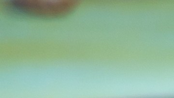 Target mantiene activa una promoción en la que cada consola, incluyendo sus versiones limitadas, presentan una rebaja de $100 dólares.