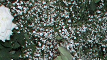 Sara Corrales reiteró que jamás realizaría una actividad que no estuviera aprobada por sus médicos.