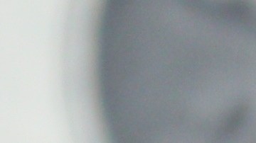 seguro-social-pagos-26-de-noviembre