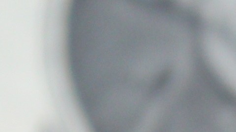 seguro-social-pagos-26-de-noviembre