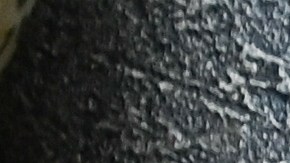 Calendar,November,On,Wooden,Background,With,Copy,Space,And,Autumn