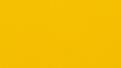 Excited,Young,Woman,Outstretching,Cupped,Hand,,Trying,To,Hold,Something