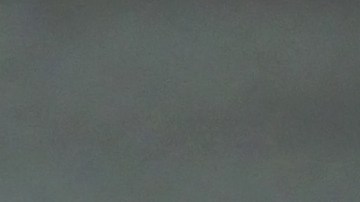 shutterstock_2656231855