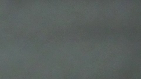 shutterstock_2656231855