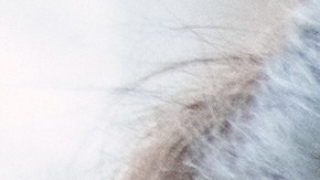 Si realmente quieres interesar a un hombre tienes que dejar que él sea quien te busque.