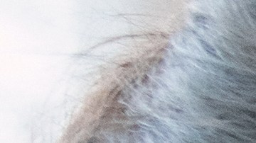 Si realmente quieres interesar a un hombre tienes que dejar que él sea quien te busque.