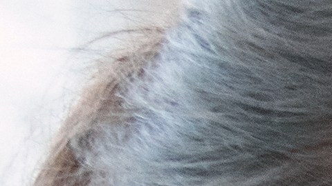 Si realmente quieres interesar a un hombre tienes que dejar que él sea quien te busque.