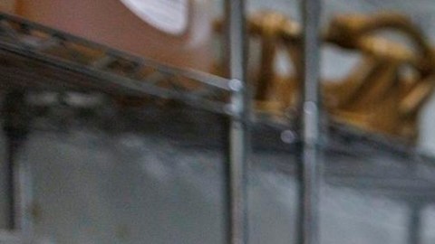 La Casa Blanca se retracta tras comentarios de Trump sobre los beneficios del SNAP