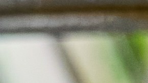 supermercados-caros-de-eeuu