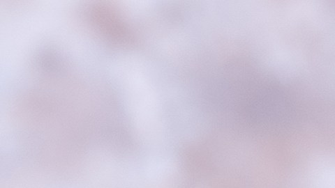 Los tacos de camarones son una opción saludable y deliciosa para Acción de Gracias.