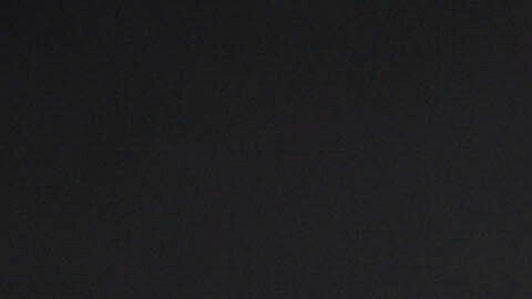 Tara Reid aseguró a TMZ que la drogaron en el bar de un hotel y que terminó hospitalizada.