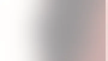 Alokozay fue admitido como residente permanente en diciembre de 2022.