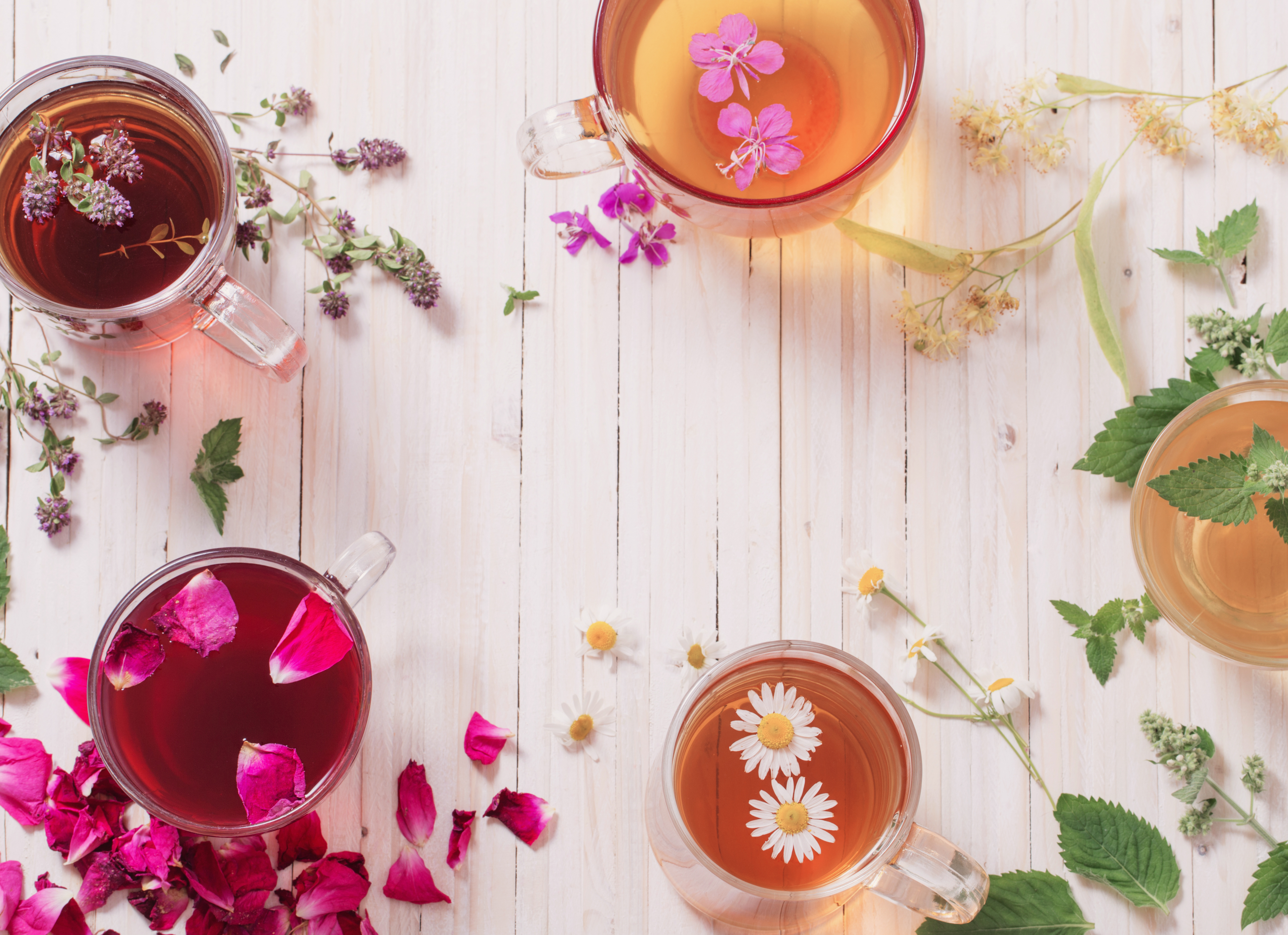 Flor de Jamaica: cómo reduce la presión arterial y potencias sus antioxidantes