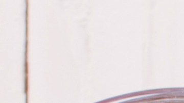 Las hierbas y plantas medicinales que ayudan a bajar el colesterol.