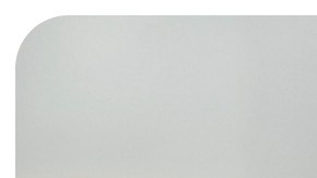 Ritchie Torres and Michael Blake