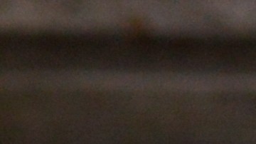 Los trapos de cocina son un foco de bacterias, por eso se debe desinfectar constantemente.