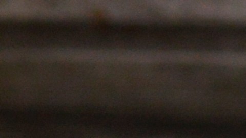 Los trapos de cocina son un foco de bacterias, por eso se debe desinfectar constantemente.