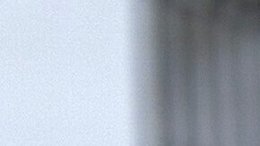 Presidente Donald Trump.