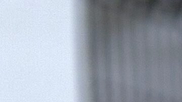 Presidente Donald Trump.