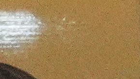 El presidente Donald Trump en el Northwest Stadium.