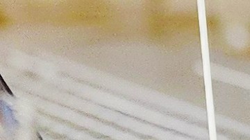 walmart-black-friday-ofertas