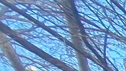 Más de 200 organizaciones se concentraron en la sede del Concejo Municipal para empujar la aprobación de la denominada Ley COPA.