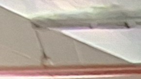 Cuatro oficiales de origen hispano y sus compañeros peludos son protagonistas de esta edición del almanaque NYPD 2026.