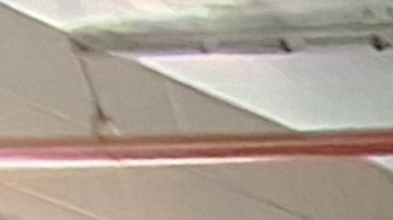 Cuatro oficiales de origen hispano y sus compañeros peludos son protagonistas de esta edición del almanaque NYPD 2026.