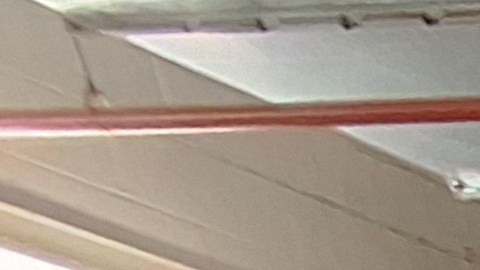 Cuatro oficiales de origen hispano y sus compañeros peludos son protagonistas de esta edición del almanaque NYPD 2026.