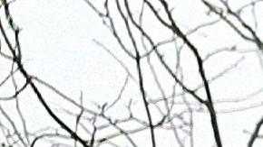 La cubana Lourdes Cabrera tiene más de 50 años viviendo en la Gran Manzana. Su lista de deseos quizás sea compartida por millones de neoyorquinos.