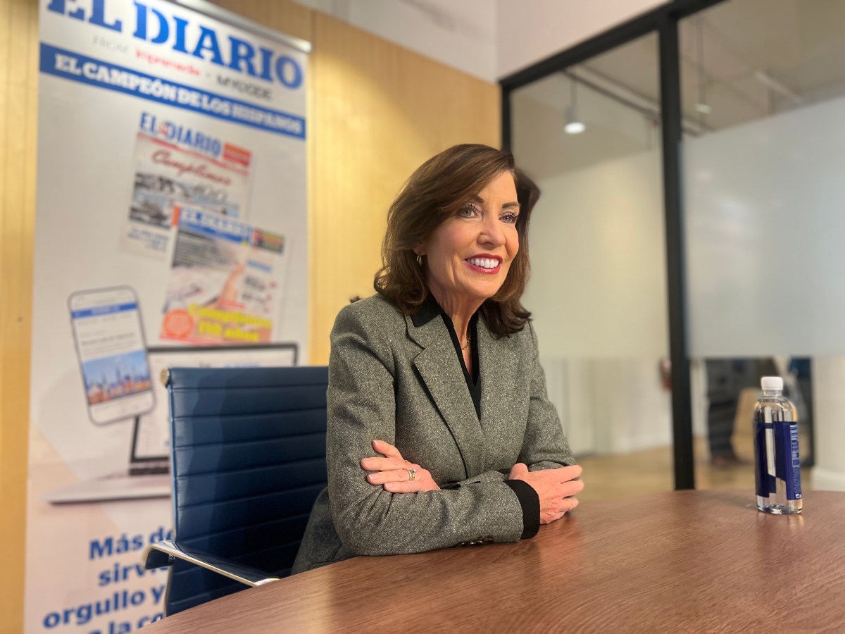 Lucha por la Gobernación de NY: la contienda estelar del 2026