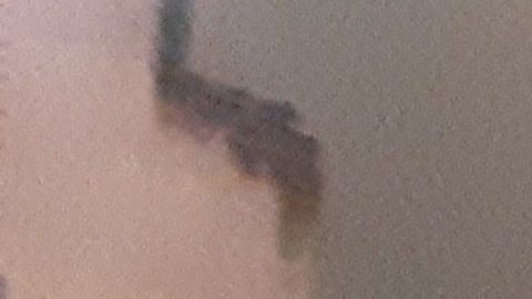 Instalación del árbol navideño "más famoso del mundo" en Rockefeller Center, NYC.