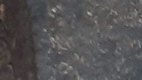 Intercambio de rutas entre líneas F y M en Manhattan y Queens.