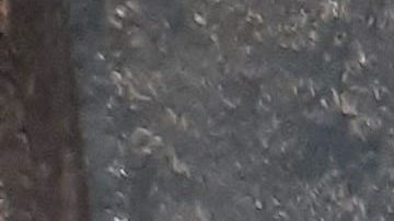 Intercambio de rutas entre líneas F y M en Manhattan y Queens.