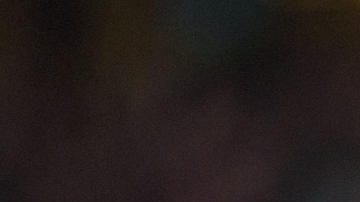 El delantero brasileño del Real Madrid Vinicius Jr.