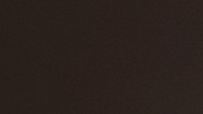 Obispo Ronald A. Hicks.