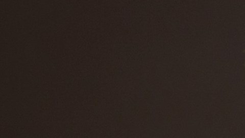 Obispo Ronald A. Hicks.