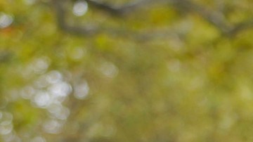 Activismo a favor de vivienda asequible.