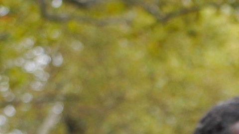 Activismo a favor de vivienda asequible.