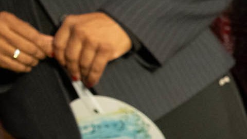 Algunas de las armas confiscadas por la NYPD. /
Ed Reed/Mayoral Photography Office