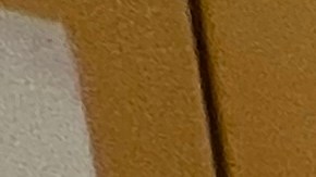 Neoyorquinos votarán en 2026 para elegir a nuevos senadores, asambleístas estatales y congresistas federales.