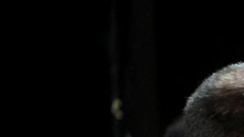 Flávio es considerado un mayor articulador político.