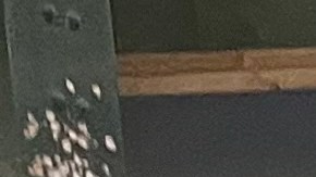 Hondureños de NY esperan con ansias resultados electorales en su país