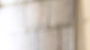 La ordenanza también exige que los agentes porte identificaciones con su nombre y agencia para la que trabajan.