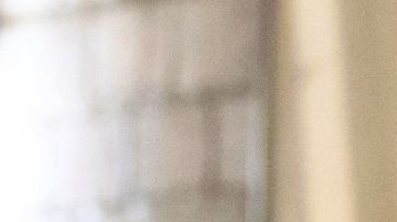 La ordenanza también exige que los agentes porte identificaciones con su nombre y agencia para la que trabajan.