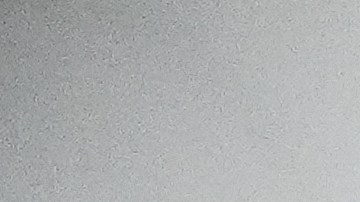 Sheinbaum dijo que se reunirá con mexicanos que viven en EE.UU.