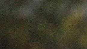 Irán calificó de "discriminatorias" las políticas del mandatario republicano.