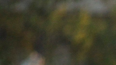 Irán calificó de "discriminatorias" las políticas del mandatario republicano.